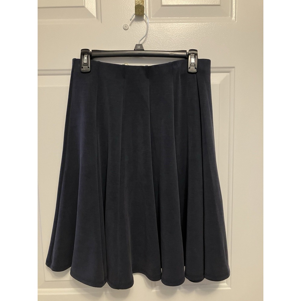 Women's Anthropologie Waverly Grey Liberant Blue A Line Swing Skirt Size 10